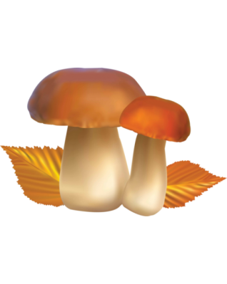 Аромат лесных грибов