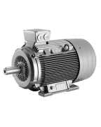 Асихронный двигатель Siemens, серии 1LG6258-2AA..