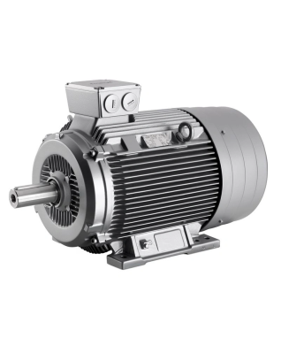 Асихронный двигатель Siemens, серии 1LG6258-2AA..