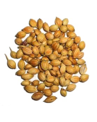 Аромат кориандра