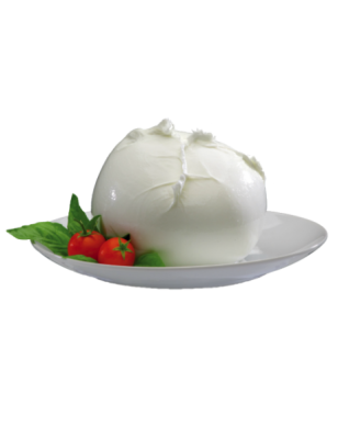 Аромат Сыра Моцарелла СН