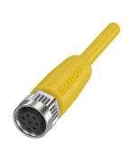 Balluff BCC M418-0000-1A-069-PX4825-100-C033 | BCC0H8P