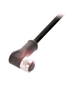 Balluff BCC M42C-0000-1A-049-PX0C25-100 | BCC0943