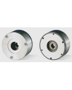 Пружинный тормоз, серия BFK461