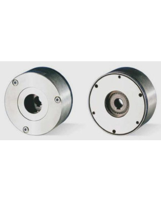 Пружинный тормоз, серия BFK461