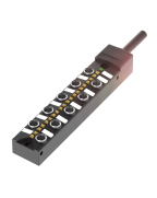 Balluff BPI AM303N-5K-B0-KPXC0-100 | BPI00E7
