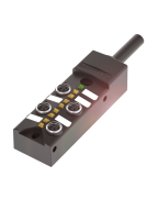Balluff BPI 4M303P-5K-B0-KPX60-050 | BPI00C6