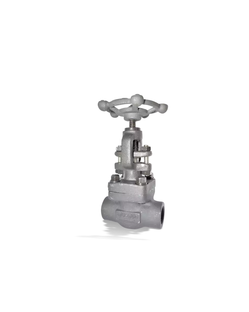 Проходной клапан KSB, серия ECOLINE GLF 800-2500