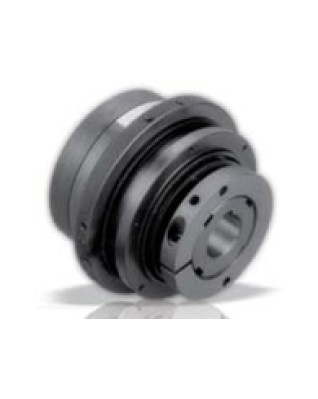 Роликовая предохранительная муфта Servomech серии DSR/F/RF Роликовая предохранительная муфта Servomech серии DSR/F/RF