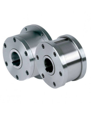 Обгонные муфты Stieber RIZG1G2 с центробежным подъемом эксцентрика Обгонные муфты Stieber RIZG1G2 с центробежным подъемом эксцентрика