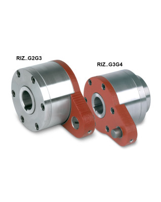 Обгонные муфты Stieber RIZG2G3 с центробежным подъемом эксцентрика Обгонные муфты Stieber RIZG2G3 с центробежным подъемом эксцентрика