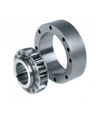 Обгонные муфты Stieber RSCI 20-130 с центробежным подъемом эксцентрика Обгонные муфты Stieber RSCI 20-130 с центробежным подъемом эксцентрика