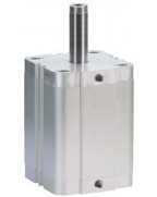 Timmer ZHO-NZN6 | Пневматический цилиндр