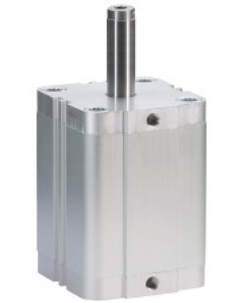 Timmer ZHO-NZN6 | Пневматический цилиндр