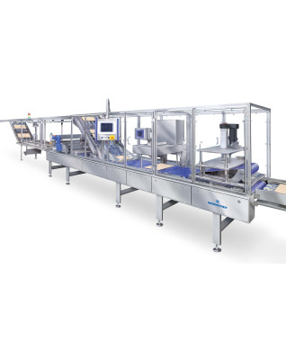 Пленочная машина WZTD