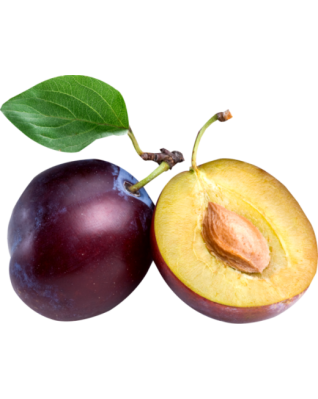 Аромат сливы