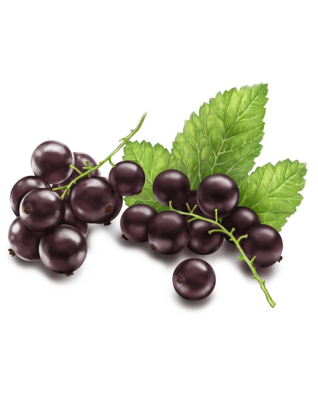 Аромат смородиновый