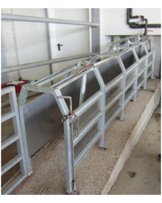 Прогоны к боксу оглушения свиней